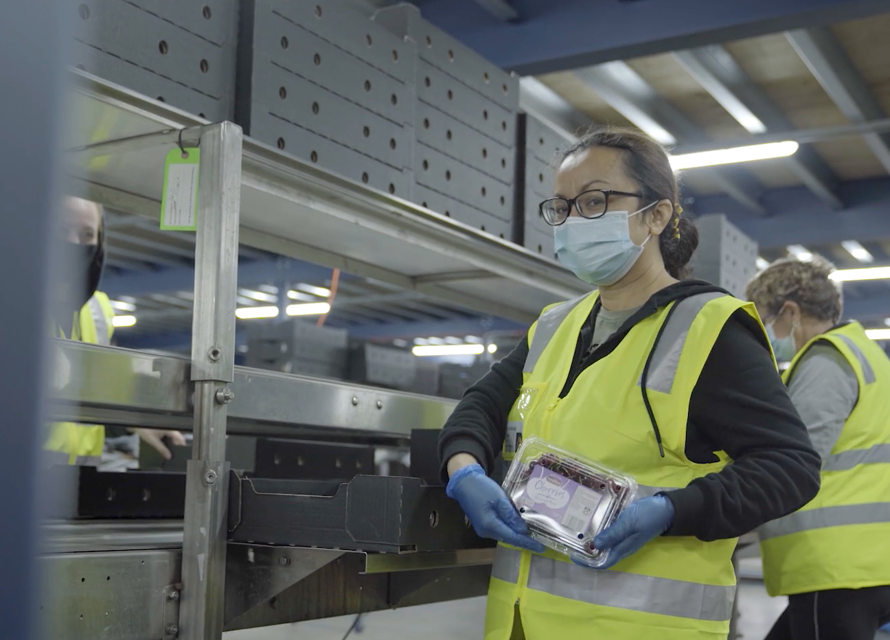 Koala cherries employee in the packing shed holding a punnet of cherries