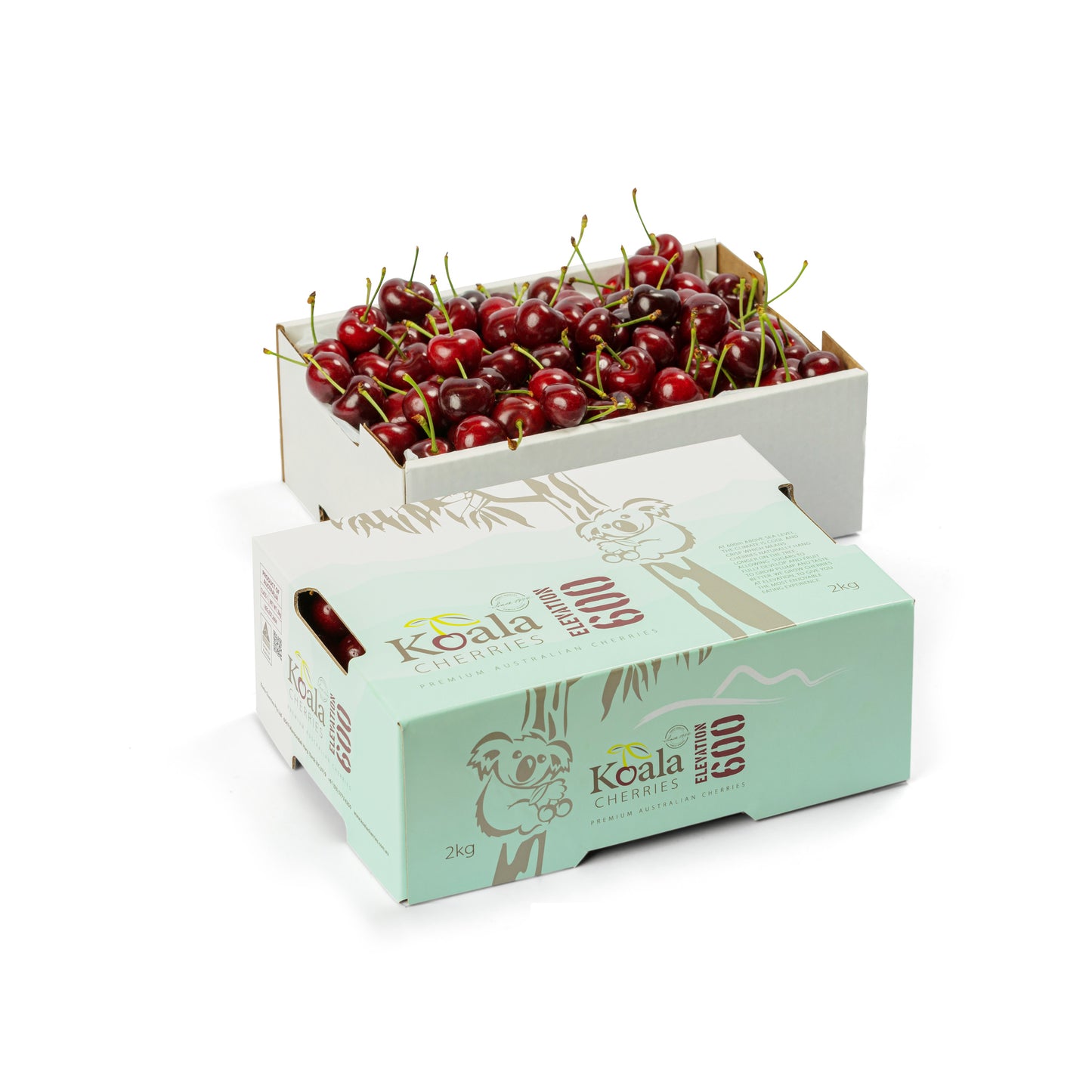 Elevation 600 Koala Cherries Brand 