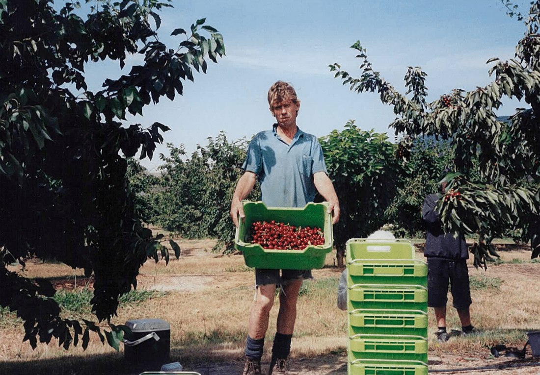 Our Story - A Legacy of Passionate Cherry Growing | Koala Cherries