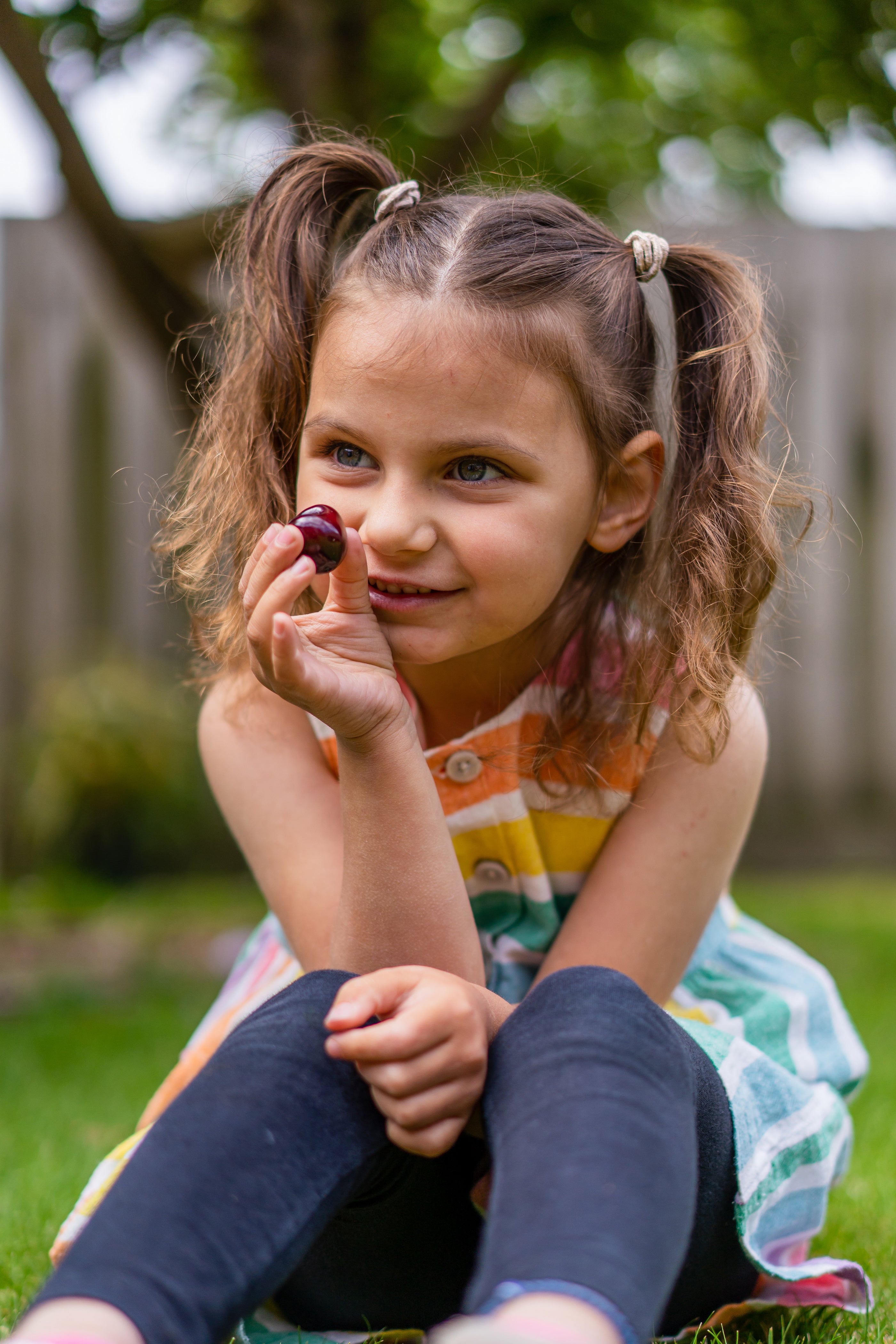 young girl eating a dark red cherry from Koala cherries Australia