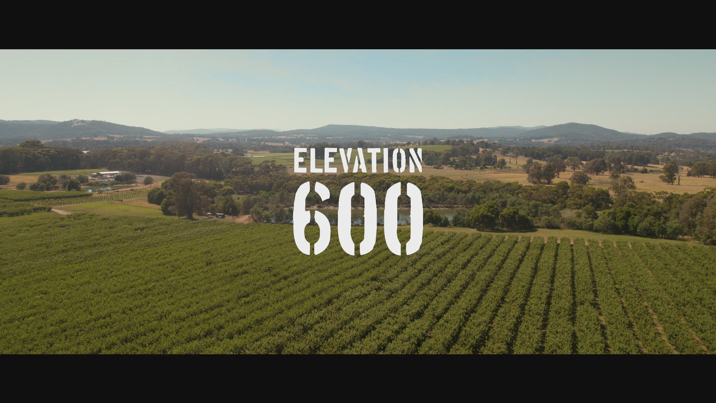 Elevation 600 – Premium Cherries